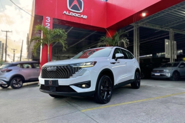 HAVAL 06